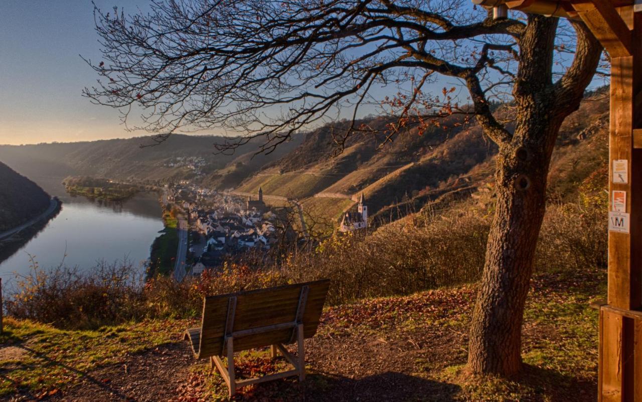 Ferienwohnungen Haus Am Wuerzlaysteig Lehmen Экстерьер фото